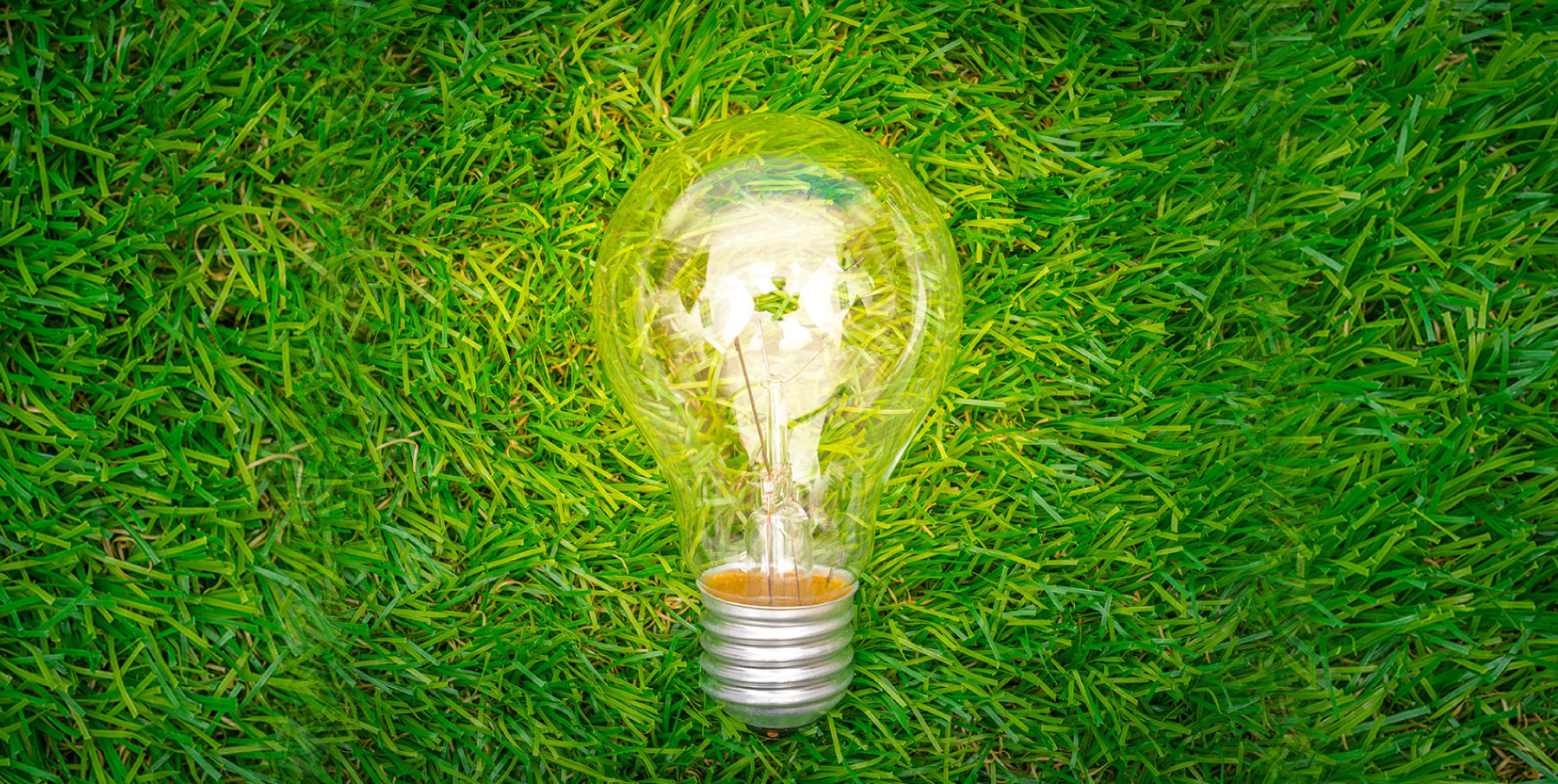 luce green più conveniente