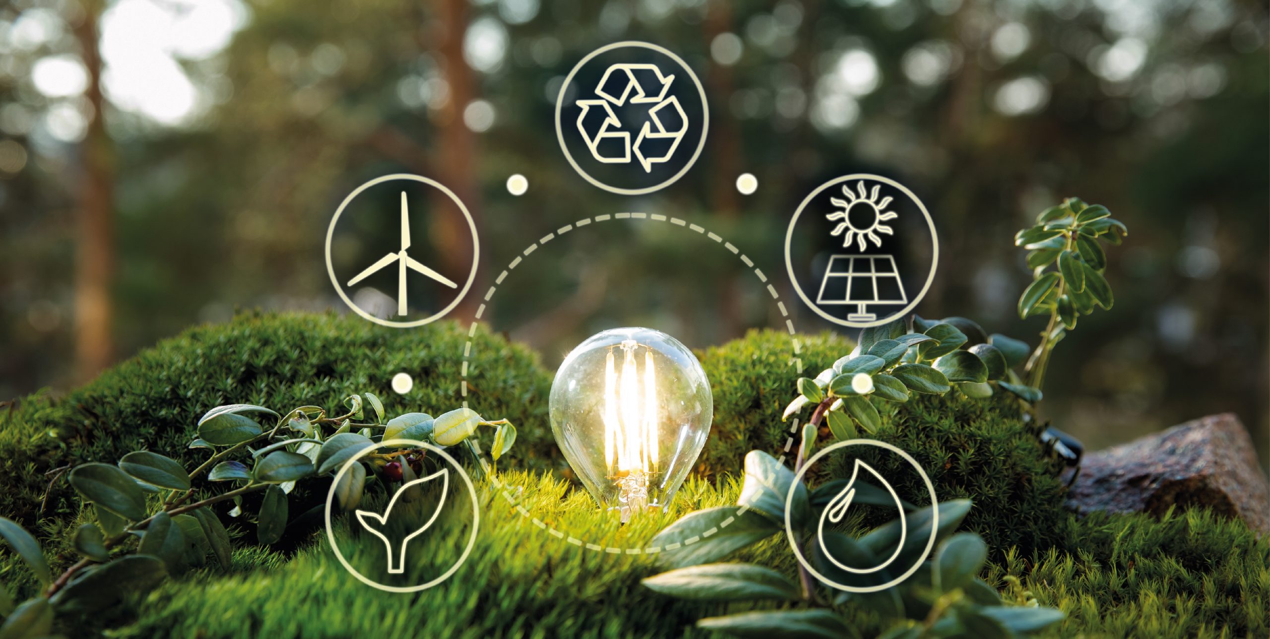 Energia sostenibile: cos'è, fonti e vantaggi dell’energia green
